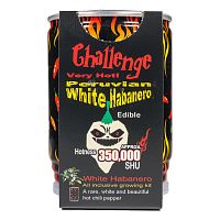 Challenge White Habanero Pepper Magic Plant