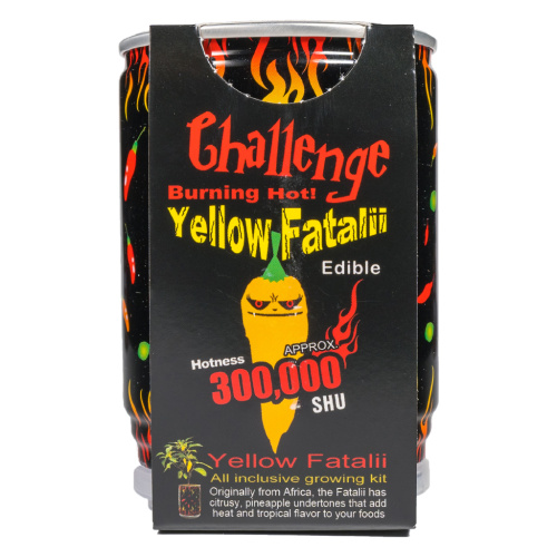 Challenge Yellow Fatalii Pepper Magic Plant